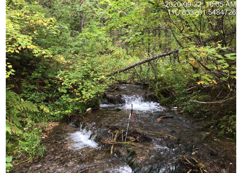 Typical habitat upstream of PSCIS crossing 50159.