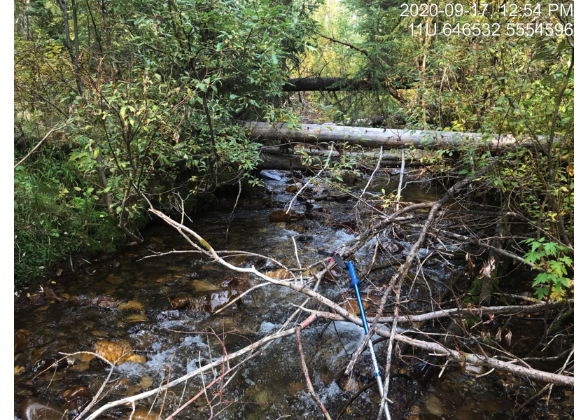 Typical habitat upstream of PSCIS crossing 197555.