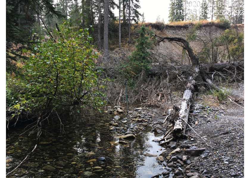 Typical habitat downstream of PSCIS crossing 197533.