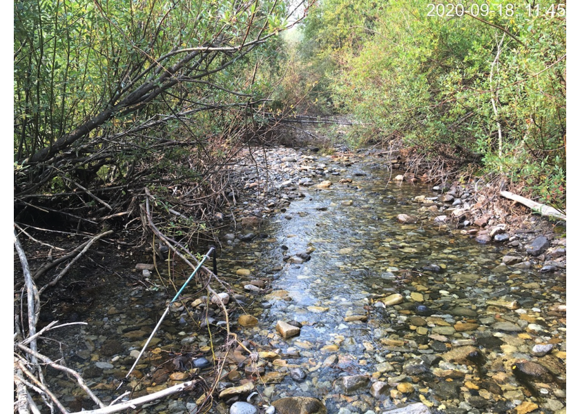Typical habitat upstream of PSCIS crossing 197533 and downstream of PSCIS crossing 197533.