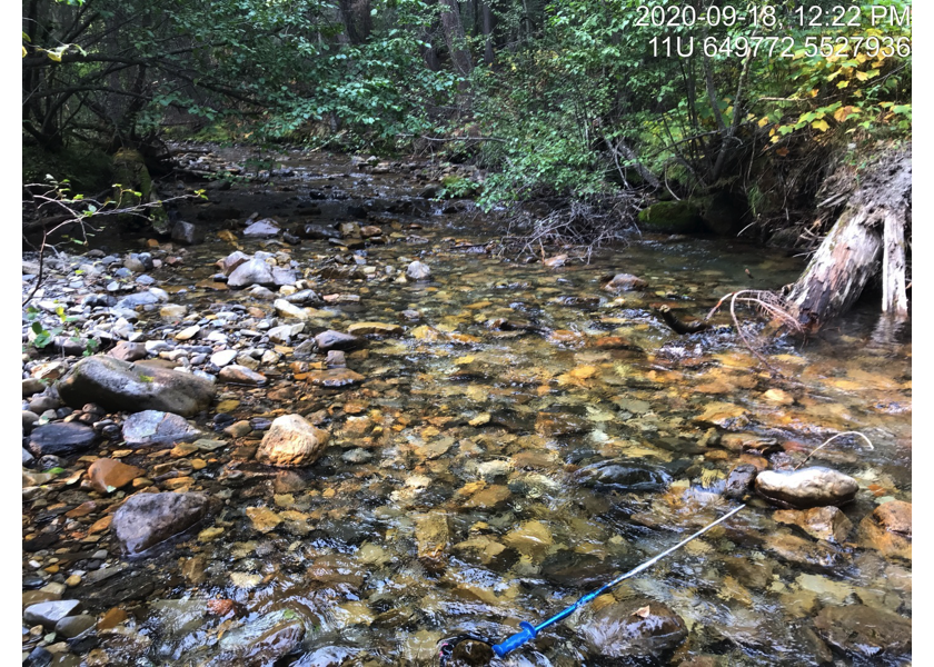 Typical habitat above dewatered area upstream of PSCIS crossing 197533.