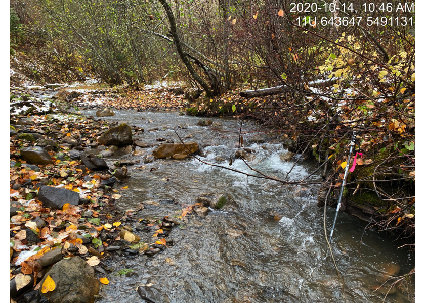 Typical habitat upstream of PSCIS crossing 197542.