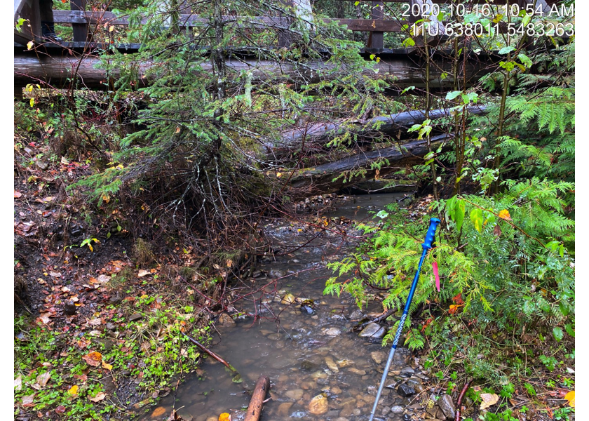 Typical habitat downstream of PSCIS crossing 50152.