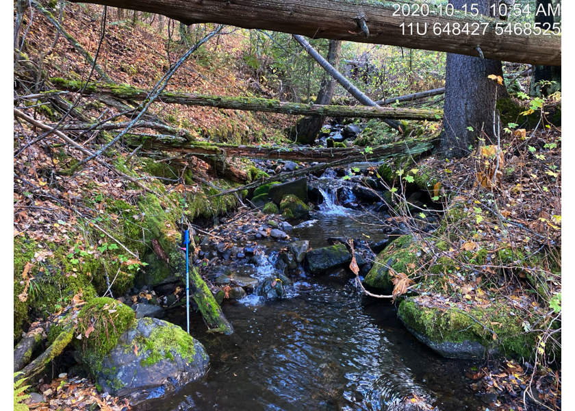 Typical habitat upstream of PSCIS crossing 50181.