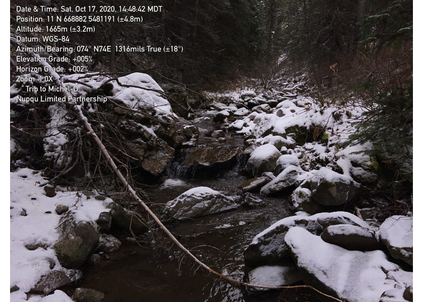 Habitat downstream of PSCIS crossing 50261.