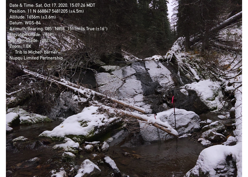 Chute barrier located 200 downstream of PSCIS crossing 50261.