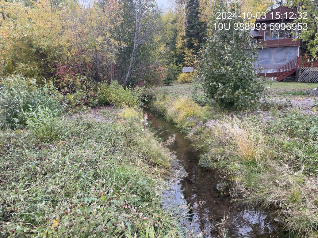 Typical habitat downstream of PSCIS crossing 199171.
