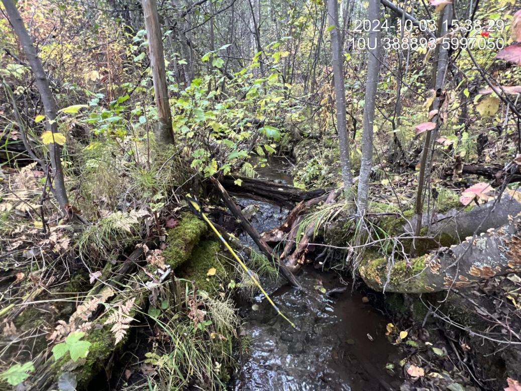 Typical habitat upstream of PSCIS crossing 199171 and downstream of PSCIS crossing 7622.