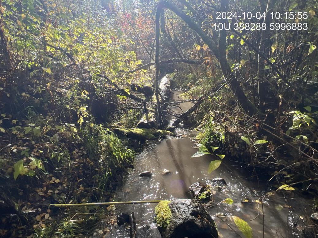 Typical habitat upstream of PSCIS crossing 199328 and downstream of PSCIS crossing 199172.