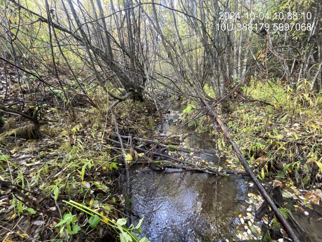 Typical habitat upstream of PSCIS crossing 199172.