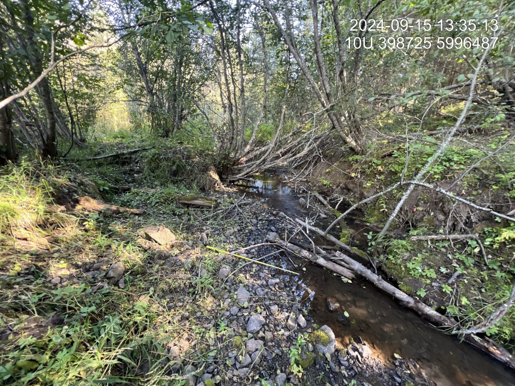 Typical habitat upstream of PSCIS crossing 199173.