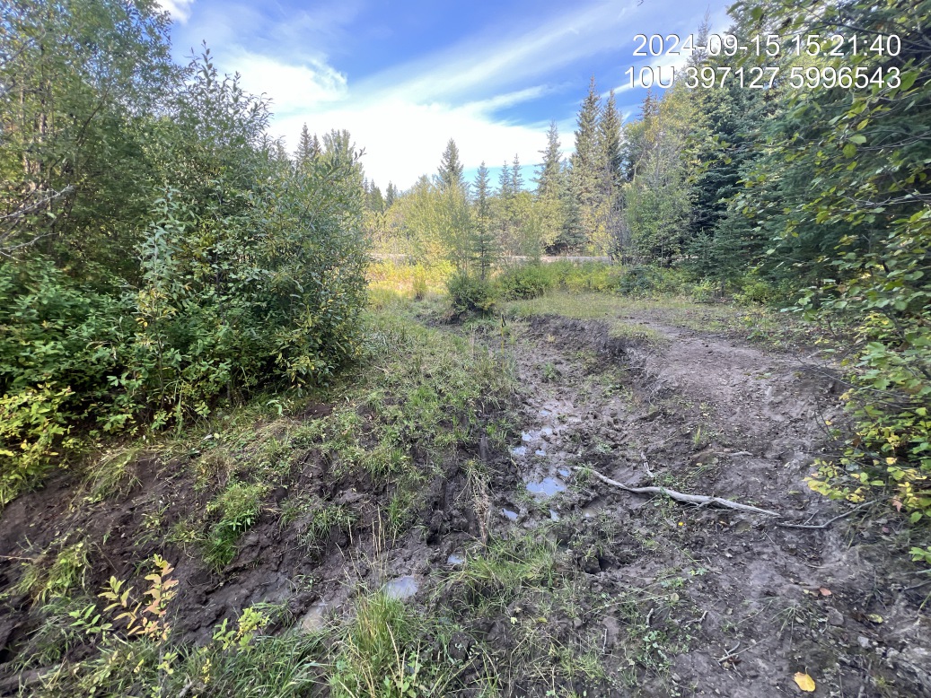 Typical habitat upstream of PSCIS crossing 199174.