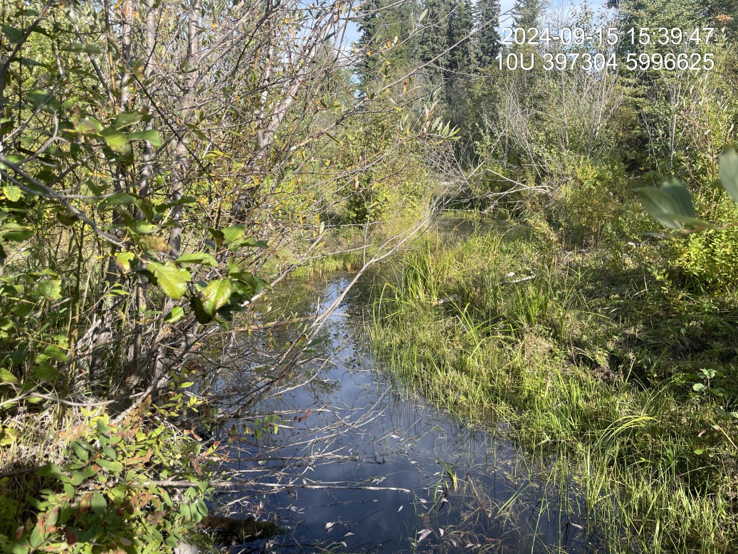 Typical habitat downstream of PSCIS crossing 199174.