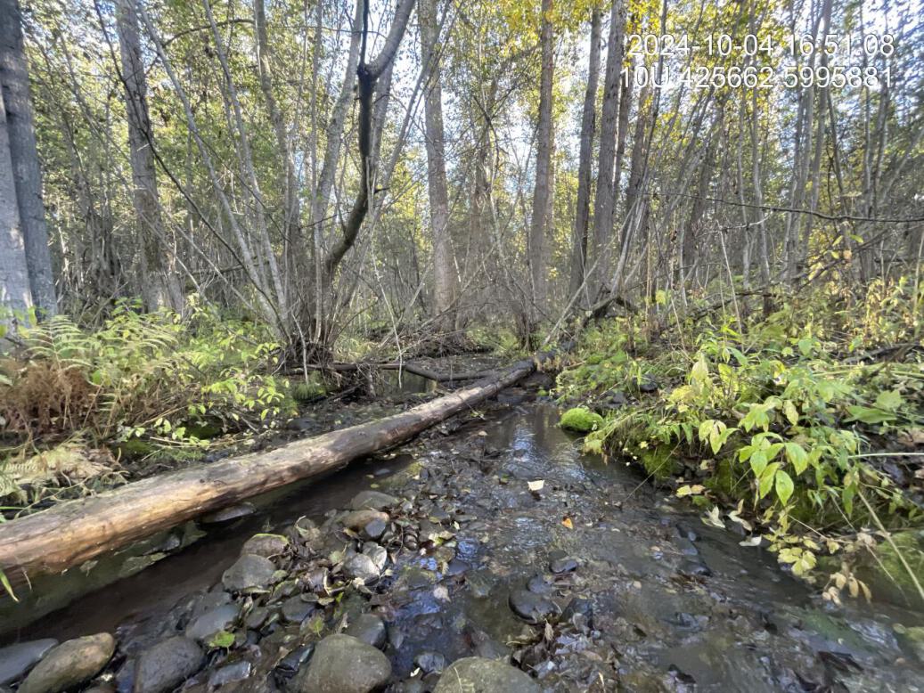 Typical habitat downstream of PSCIS crossing 199190.