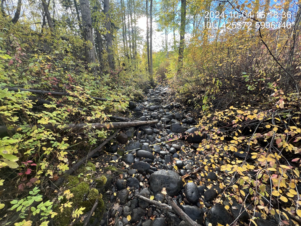 The stream went subsurface approximately 200m upstream of PSCIS crossing 199190.