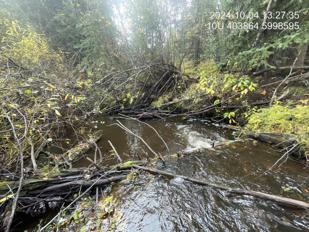 Typical habitat downstream of PSCIS crossing 199204.