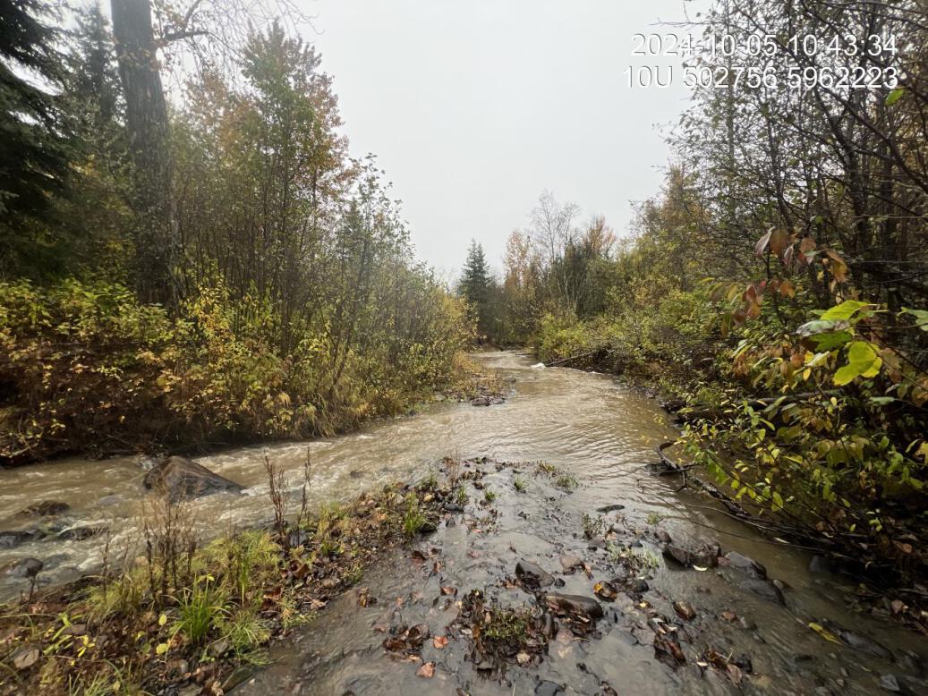 Typical habitat upstream of PSCIS crossing 199232.