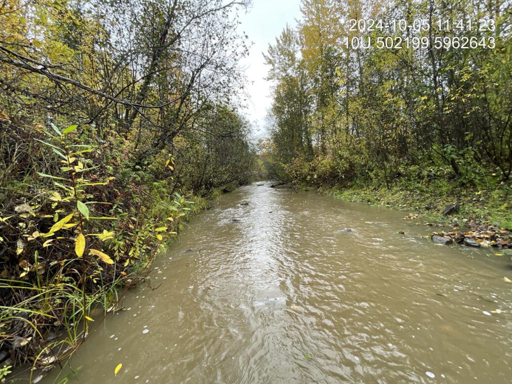 Typical habitat downstream of PSCIS crossing 199232.