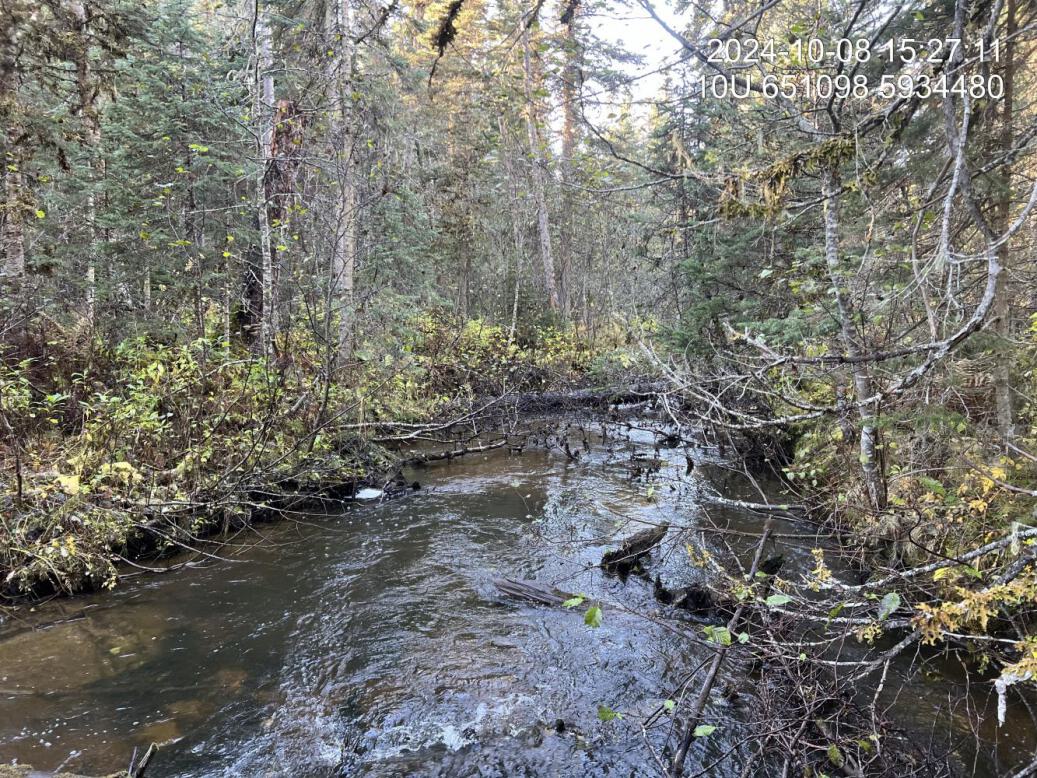 Typical habitat upstream of PSCIS crossing 199237 on the east fork on Snowshoe Creek.