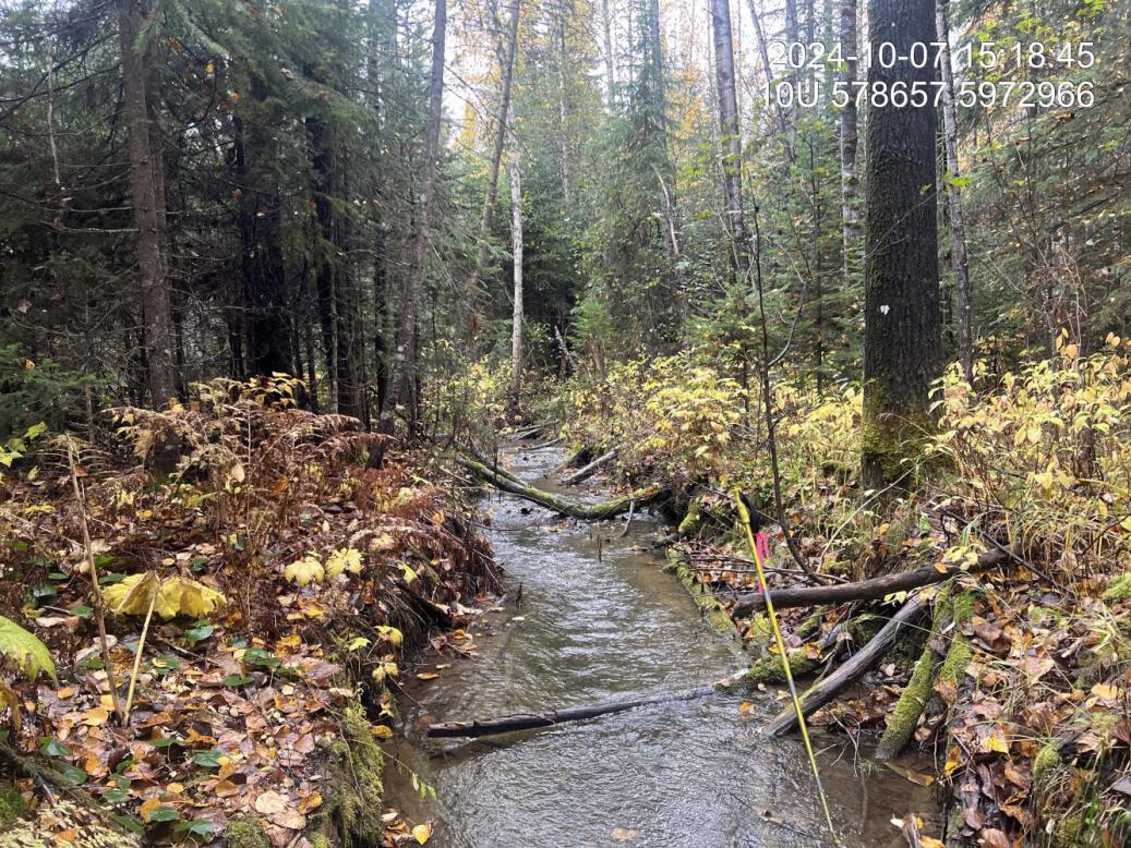 Typical habitat upstream of PSCIS crossing 199255.