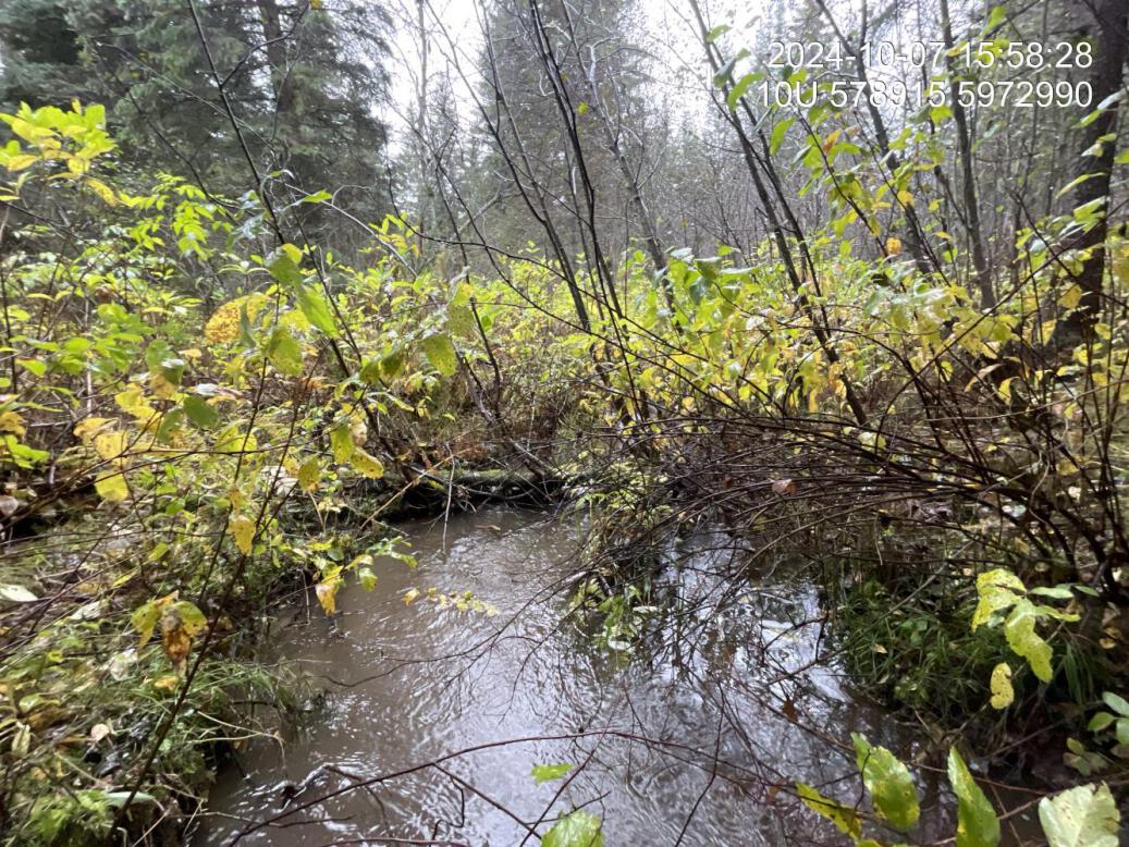 Typical habitat downstream of PSCIS crossing 199255.