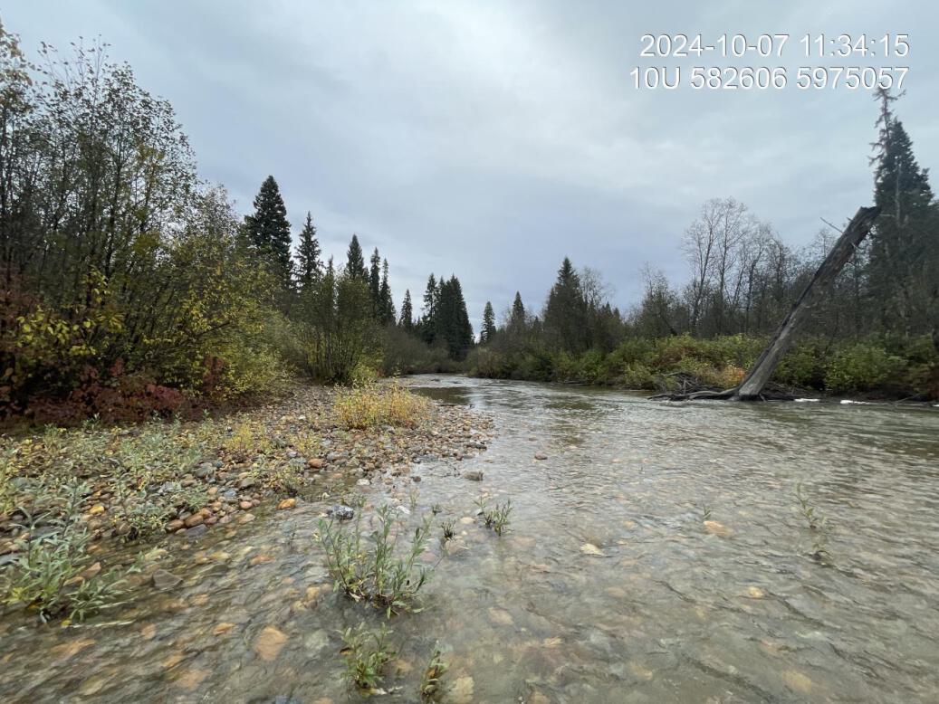 Typical habitat downstream of PSCIS crossing 199256.