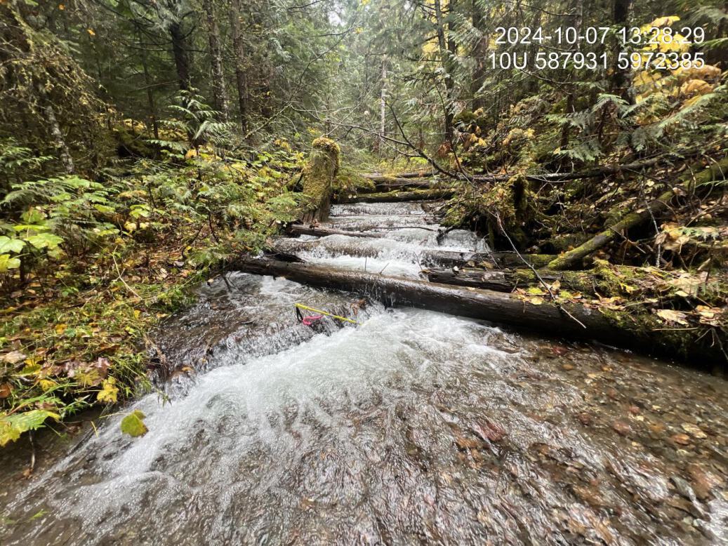 Typical habitat upstream of PSCIS crossing 199260.