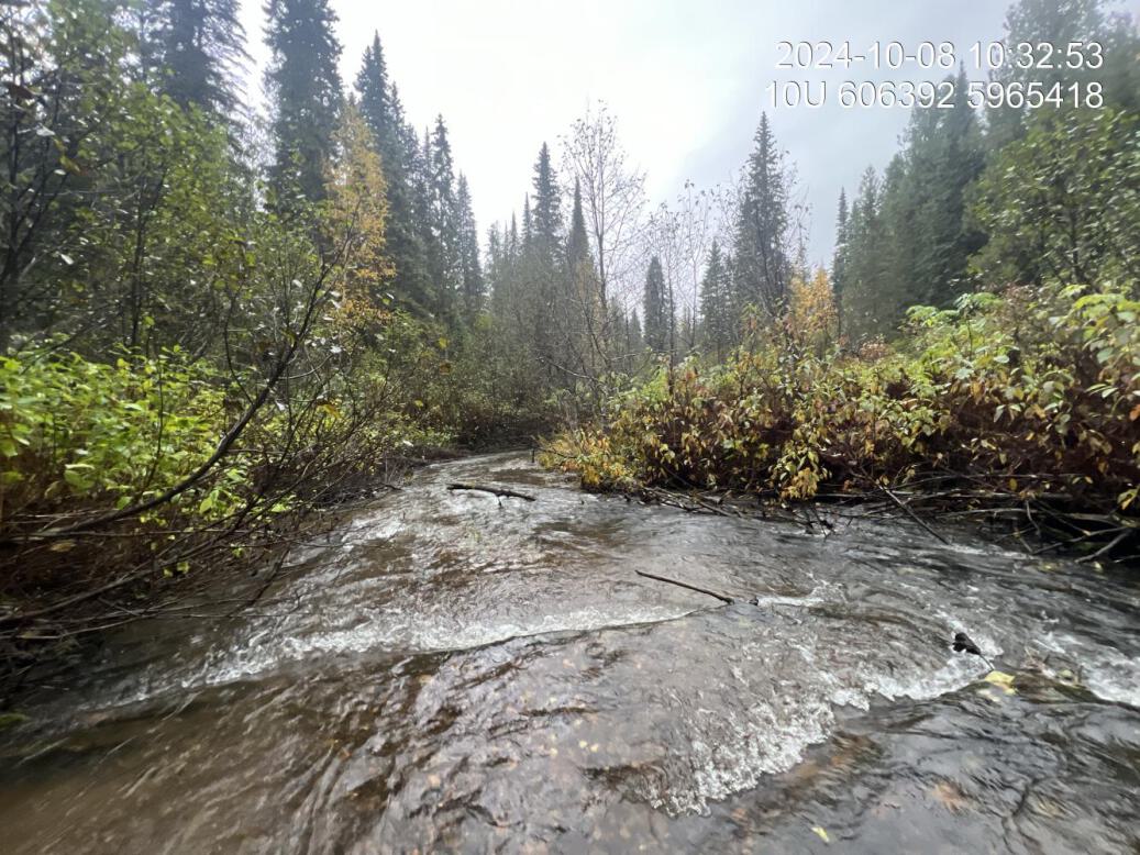 Typical habitat upstream of PSCIS crossing 199267.