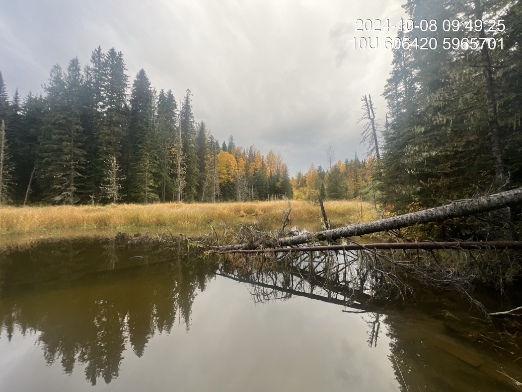 Typical habitat upstream of PSCIS crossing 199267.
