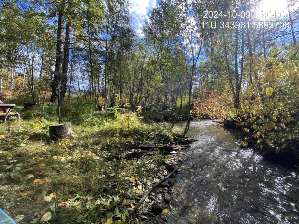 Typical habitat downstream of PSCIS crossing 199278.