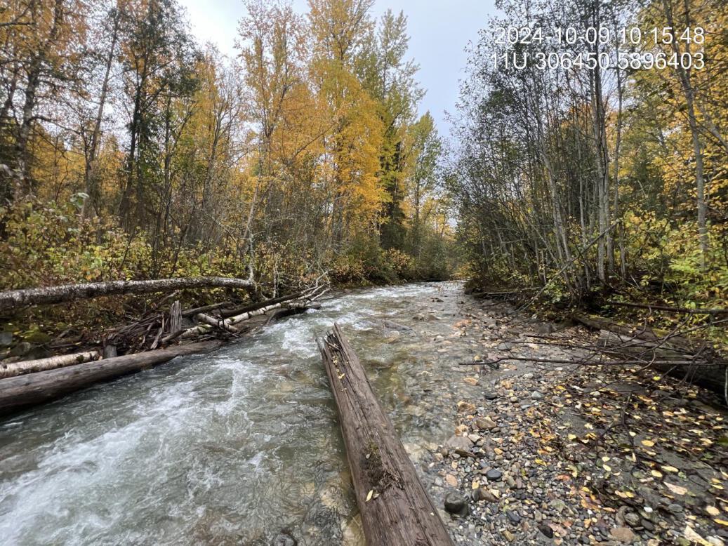 Typical habitat upstream of PSCIS crossing 199282.