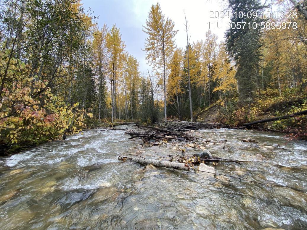 Typical habitat downstream of PSCIS crossing 199282.