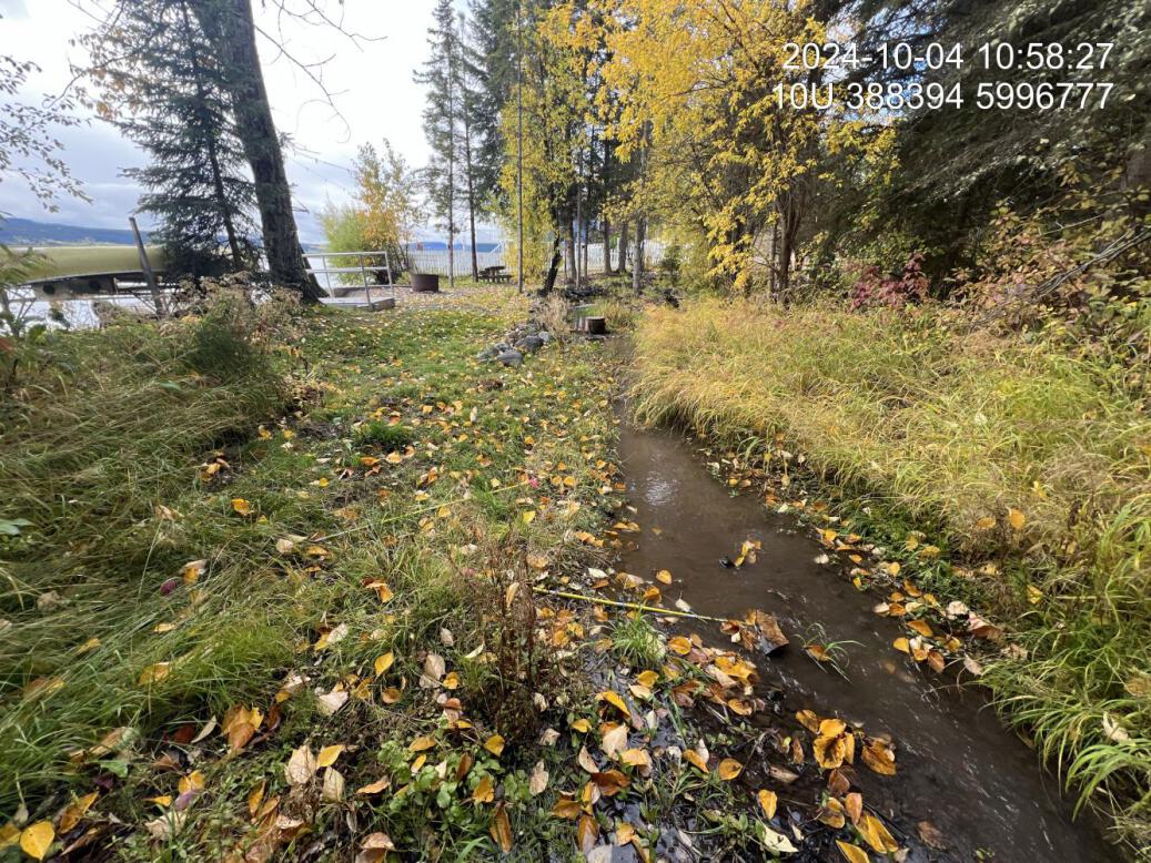 Typical habitat downstream of PSCIS crossing 199328.