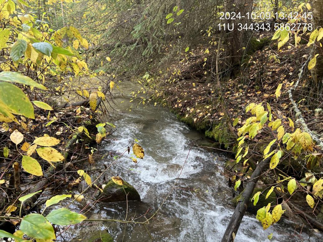 Typical habitat upstream of PSCIS crossing 203302.