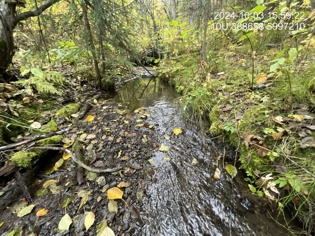 Typical habitat upstream of PSCIS crossing 7622.