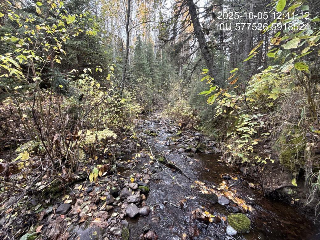 Typical habitat downstream of PSCIS crossing 126158.