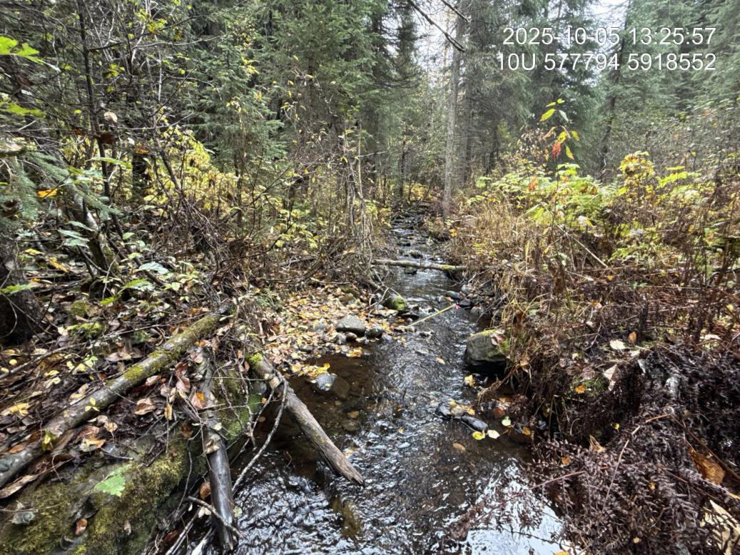 Typical habitat upstream of PSCIS crossing 126158.