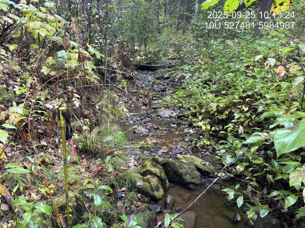 Typical habitat upstream of PSCIS crossing 196076.