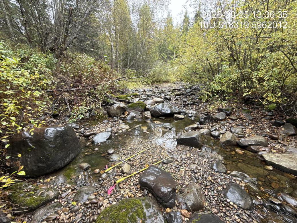Typical habitat downstream of PSCIS crossing 196085.
