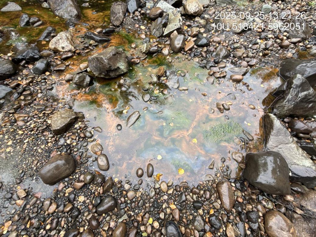 Algae observed dowstream of crossing 196085.