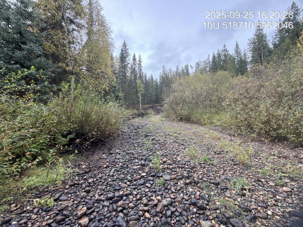 Typical habitat upstream of PSCIS crossing 196085 and downstream of PSCIS crossing 203582.