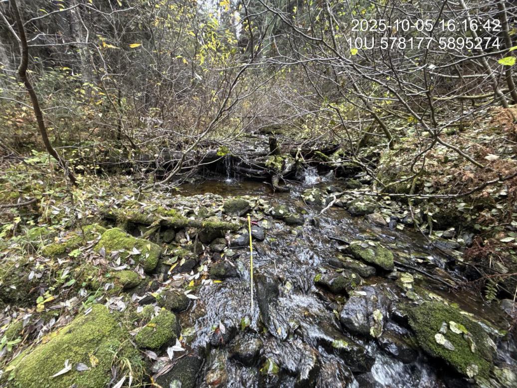 Typical habitat downstream of PSCIS crossing 196332.