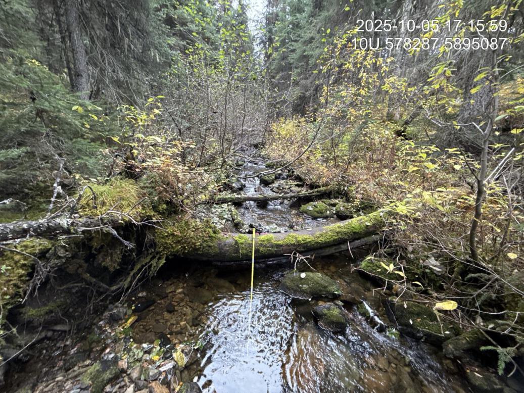 Typical habitat upstream of PSCIS crossing 196332.