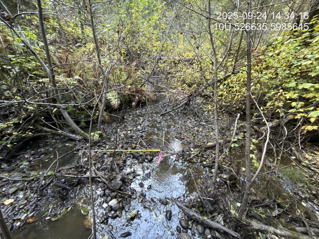 Typical habitat upstream of PSCIS crossing 203581.