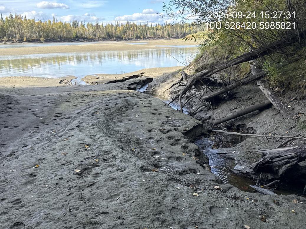 Typical habitat downstream of PSCIS crossing 203581.