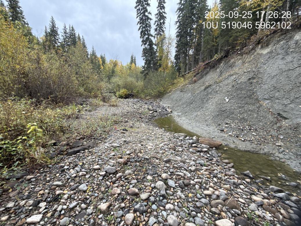 Typical habitat upstream of PSCIS crossing 203582.