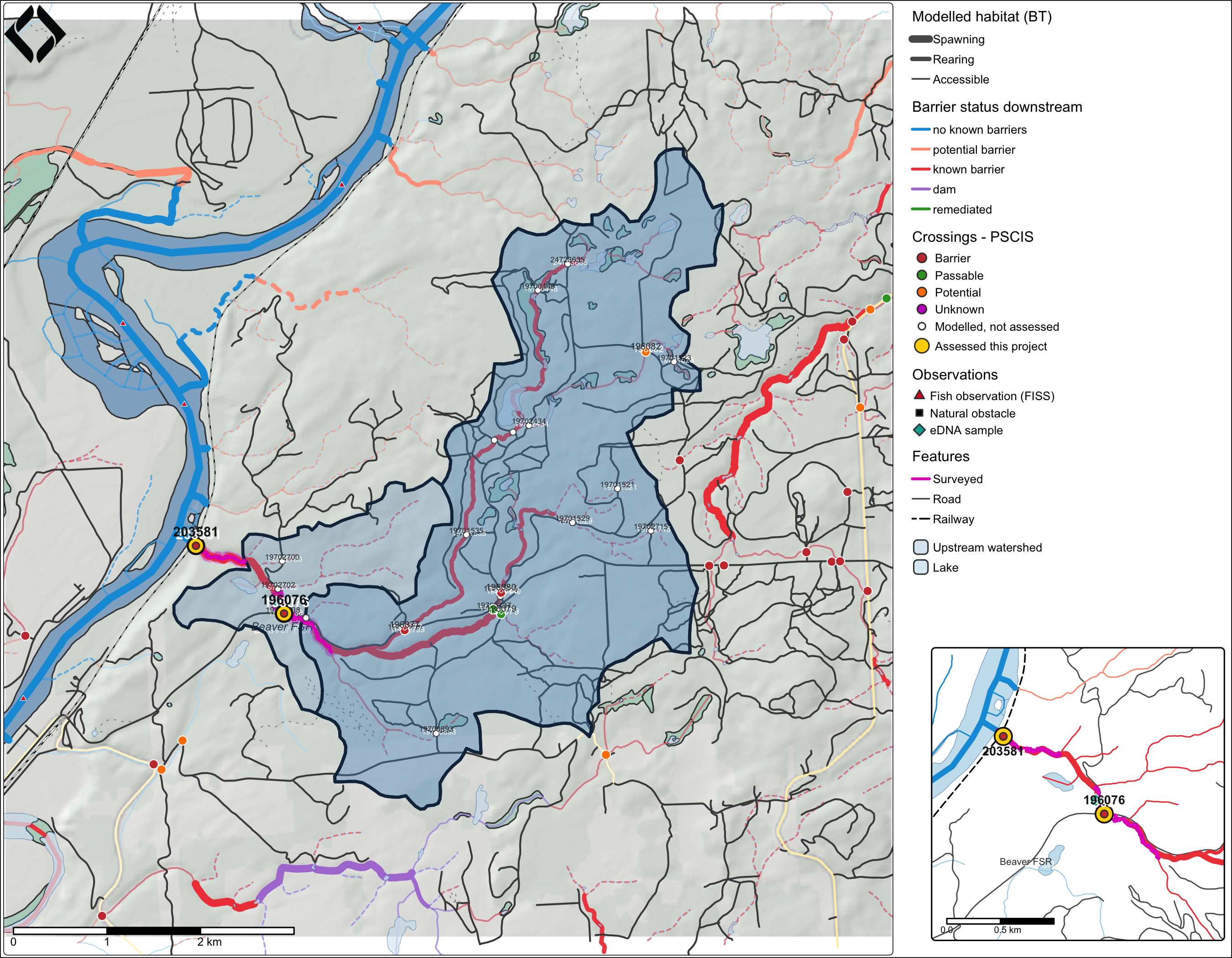 Habitat confirmation site map for PSCIS crossings 203581 and 196076. Modelled habitat from bcfishpass (model run 133). Basemap (c) OpenStreetMap contributors, (c) CARTO; relief from MRDEM-30.