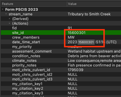 How to copy information from a features in QGIS