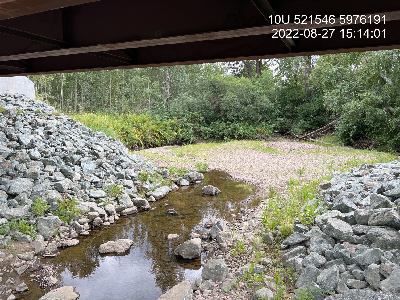 Downstream view of location of historic outlet pool on Bittner Creek below Foreman Road which has filled with gravels due to culvert removal.