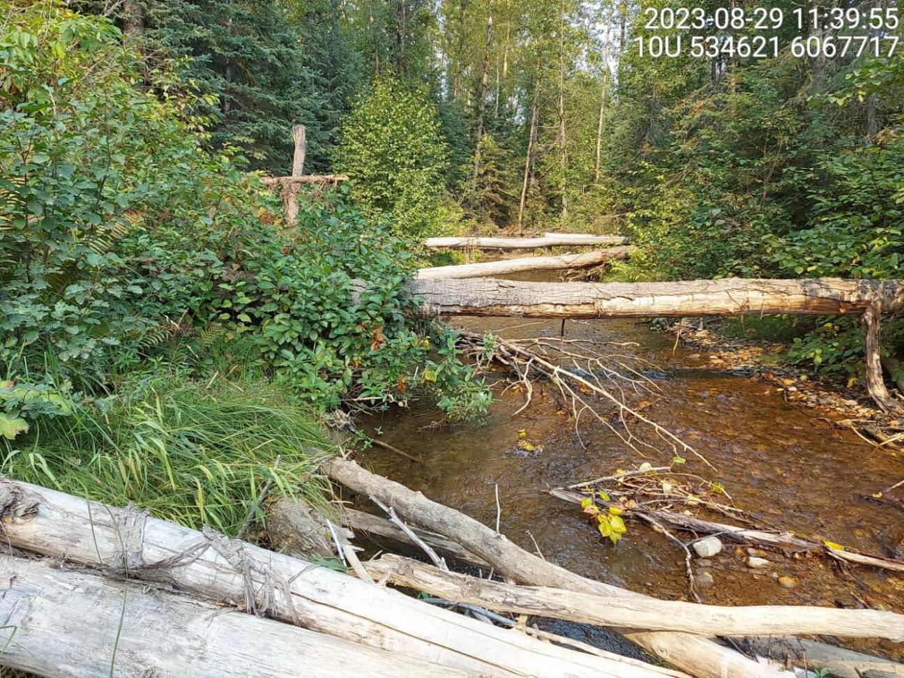 Habitat electrofished downstream of PSCIS crossing 125261 in 2024.